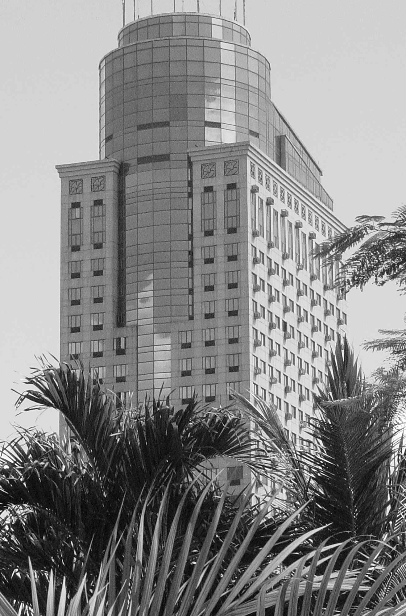 wpe29.jpg (269914 bytes)